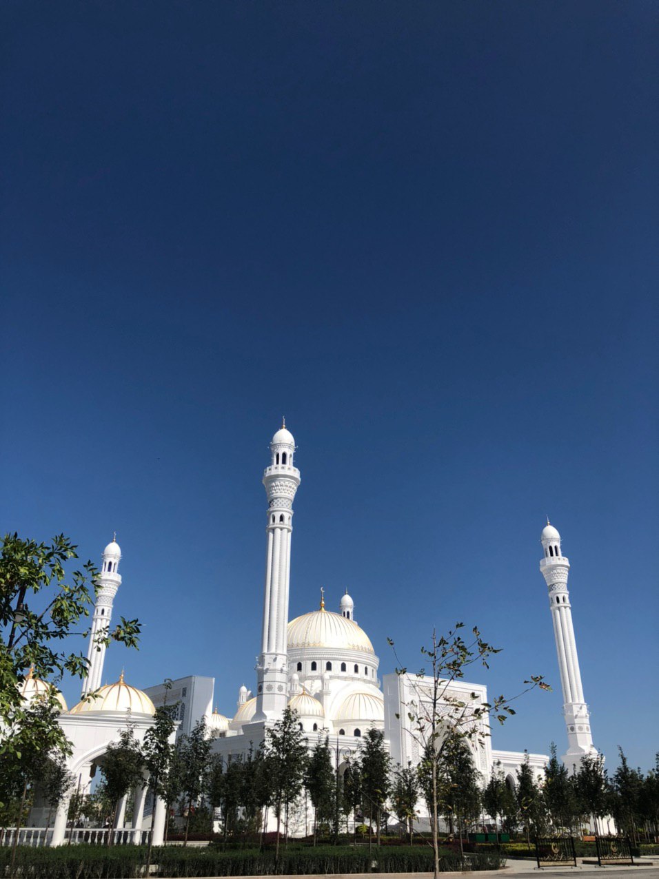 Grozny City + Magas - Argun - Shali - Expedition photo 7