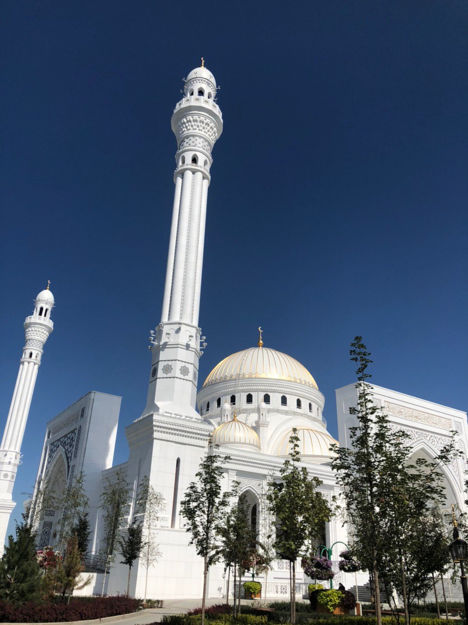 Grozny City + Magas - Argun - Shali - Expedition photo 8