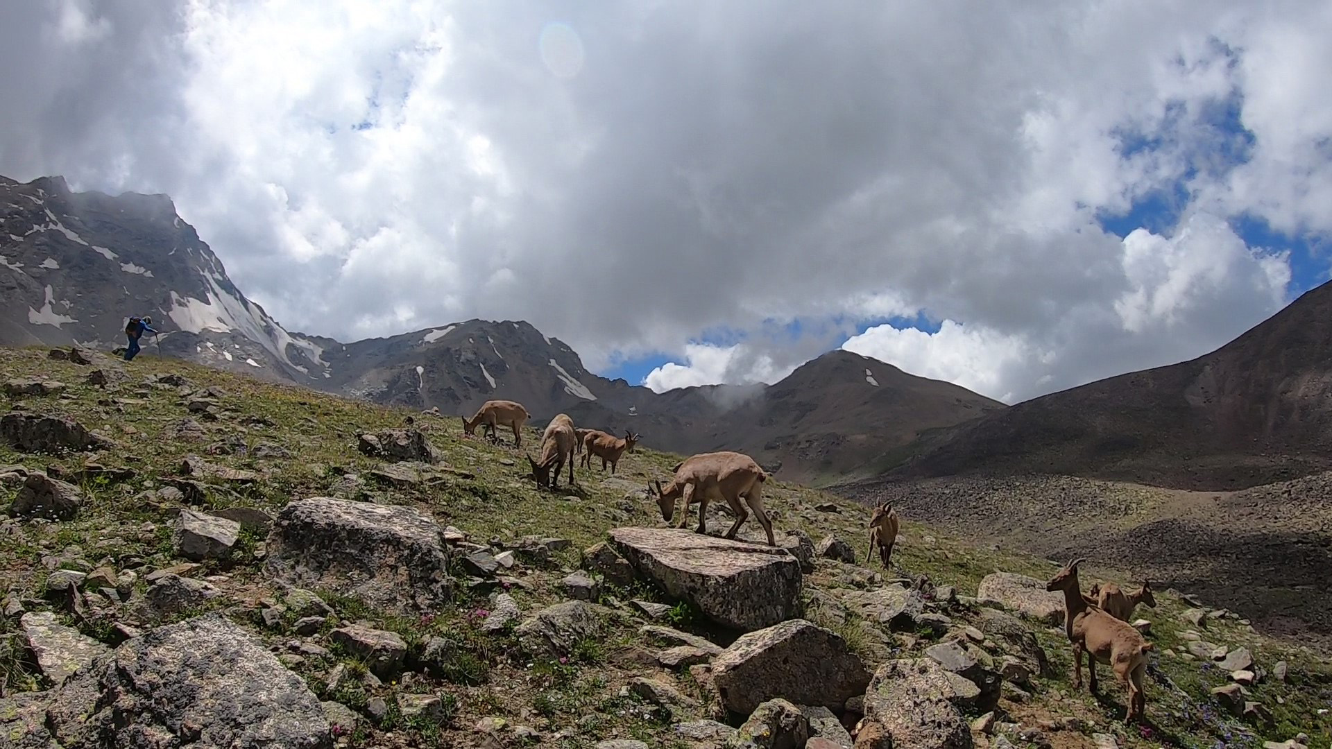 Lake Syltran-Kol - Expedition photo 3