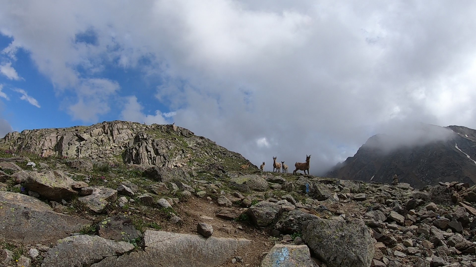 Lake Syltran-Kol - Expedition photo 12