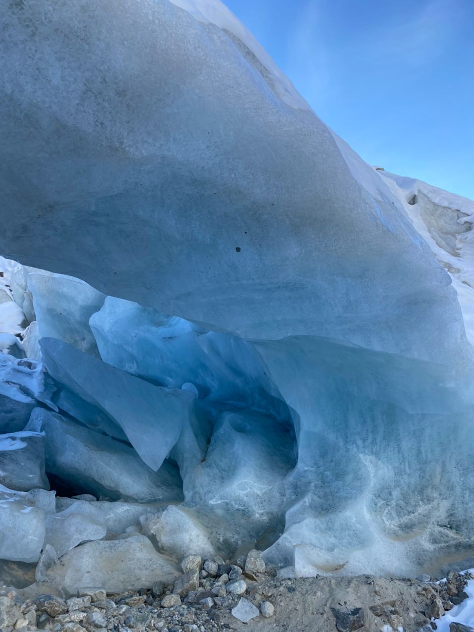 Glacier Tsey + Zaramag lake - Expedition photo 11