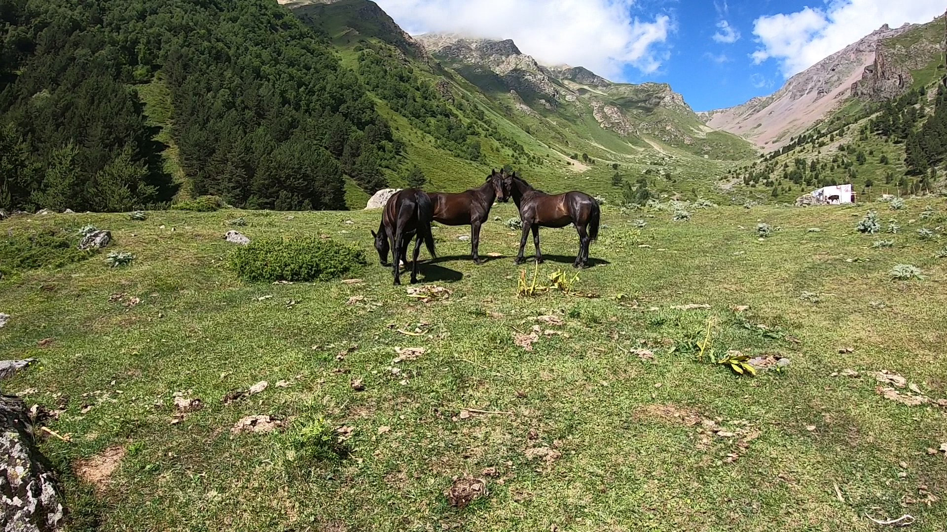 Route to Syltrankel - a beautiful lake - 2 days trekking - Expedition photo 7
