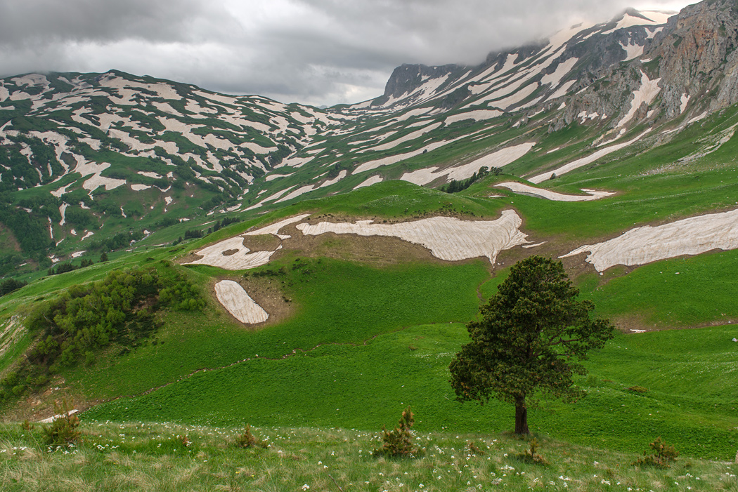 Adygea Republic - Plateau Lago-Naki