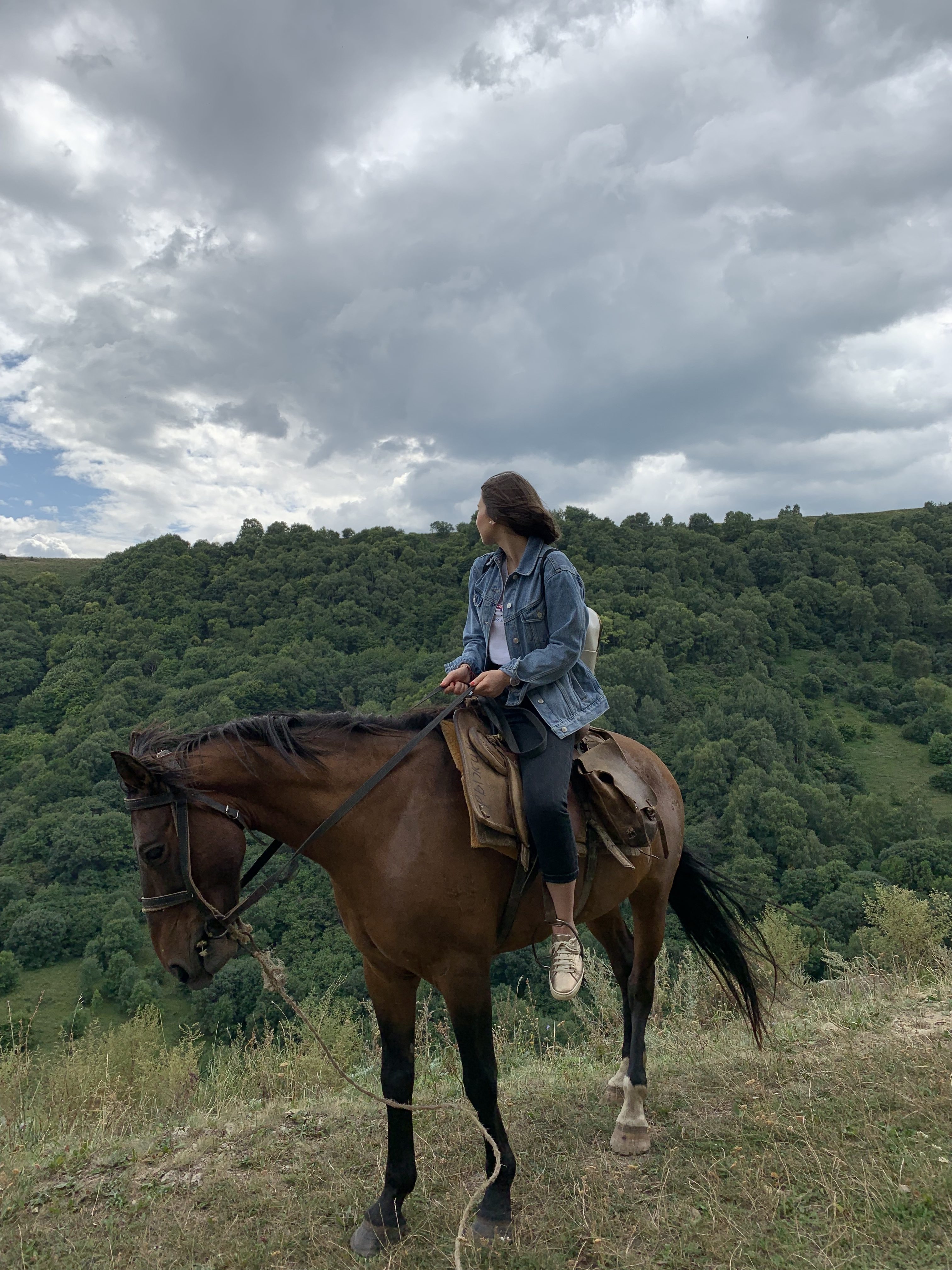 Waterfalls Honey Falls + Horse Riding - Expedition photo 12