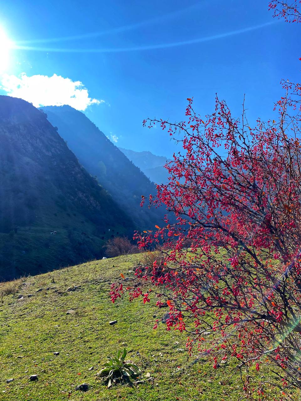 Digoria Valley - Expedition photo 8