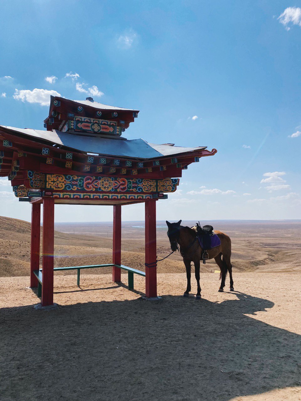 Kalmykia Republic - City Elista - Expedition photo 9