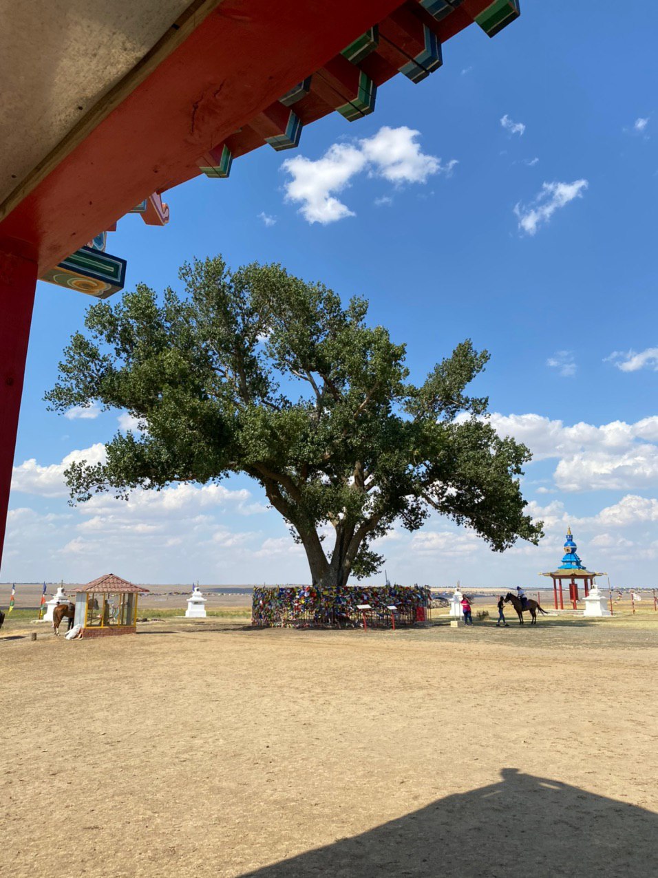 Kalmykia Republic - City Elista - Expedition photo 12