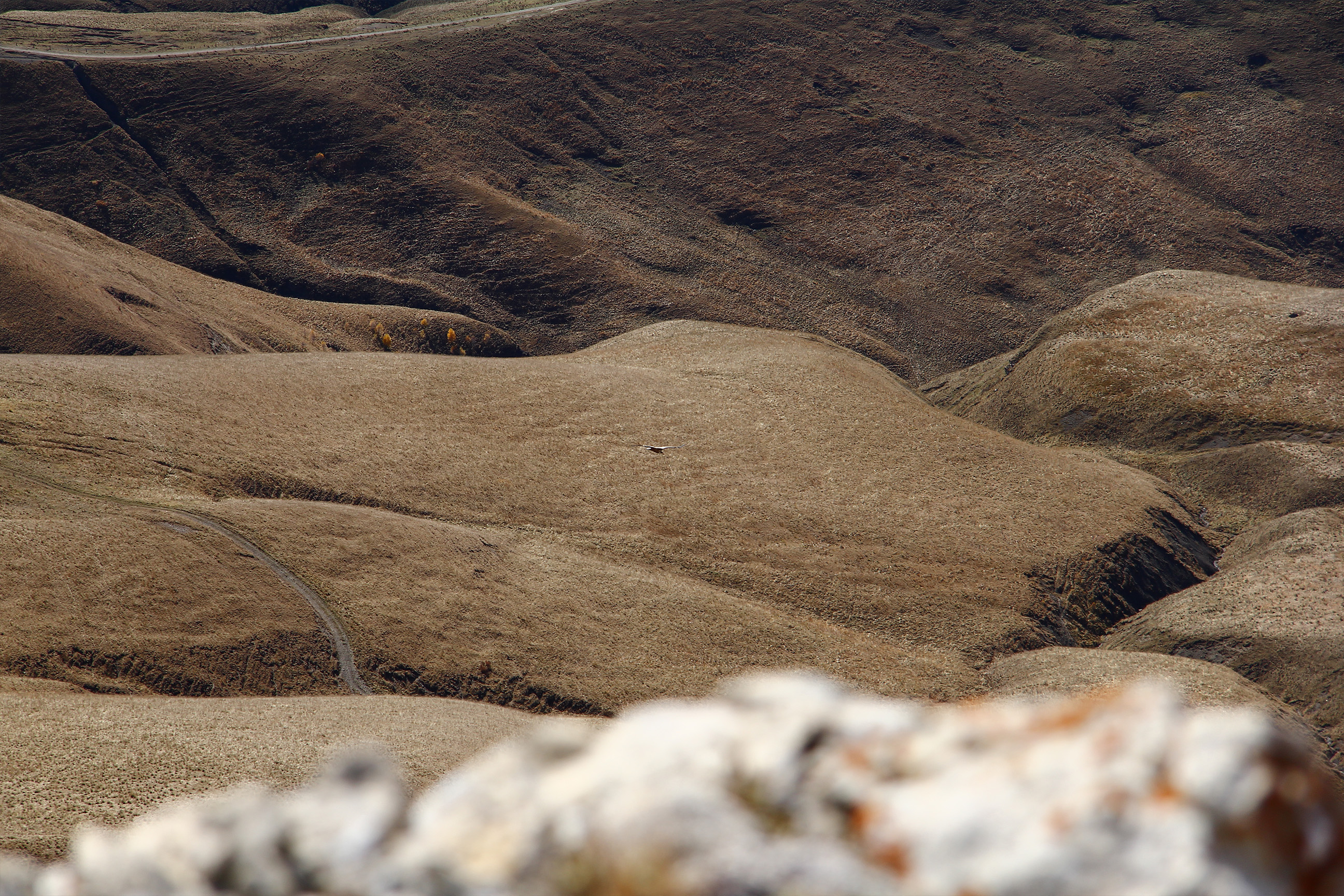 Kanzhol Plateau and Tyzyl Gorge - Expedition photo 11