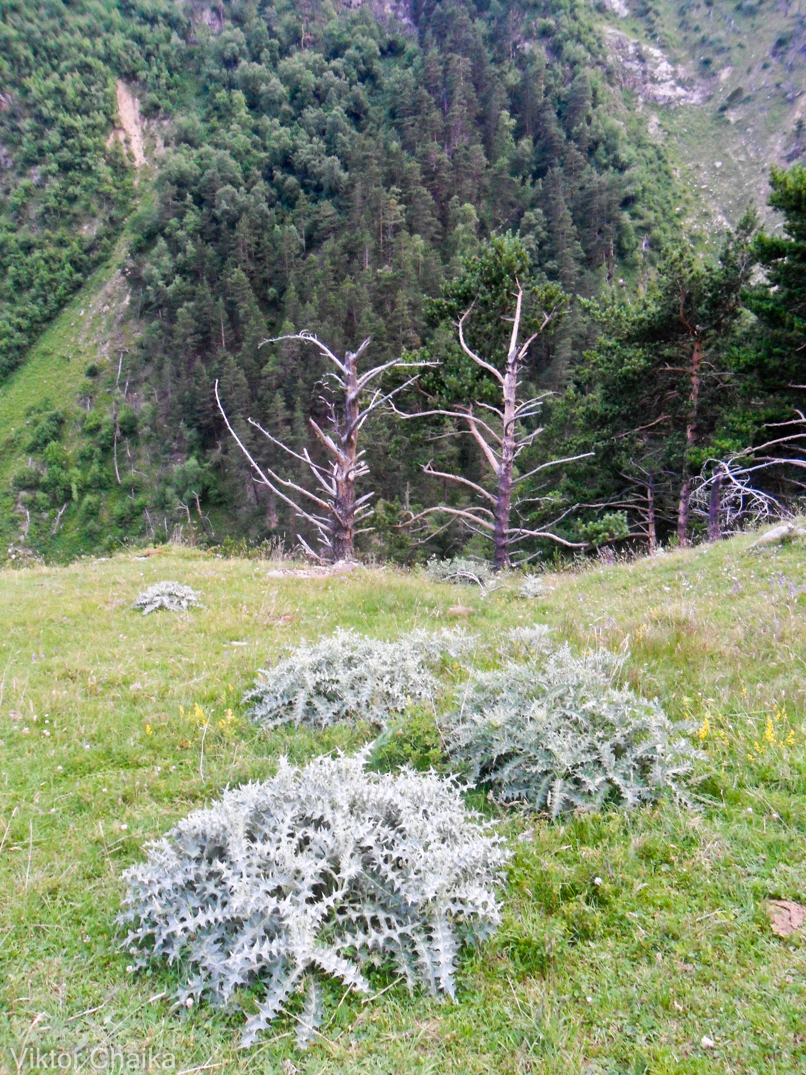 Valley Irik-Chat - Elbrus area - Expedition photo 11