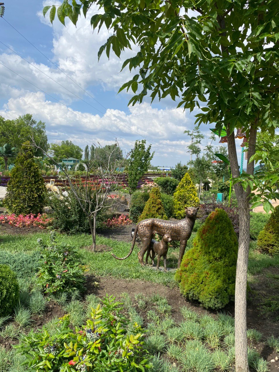 Resort Zheleznovodsk + Green District - Expedition photo 10